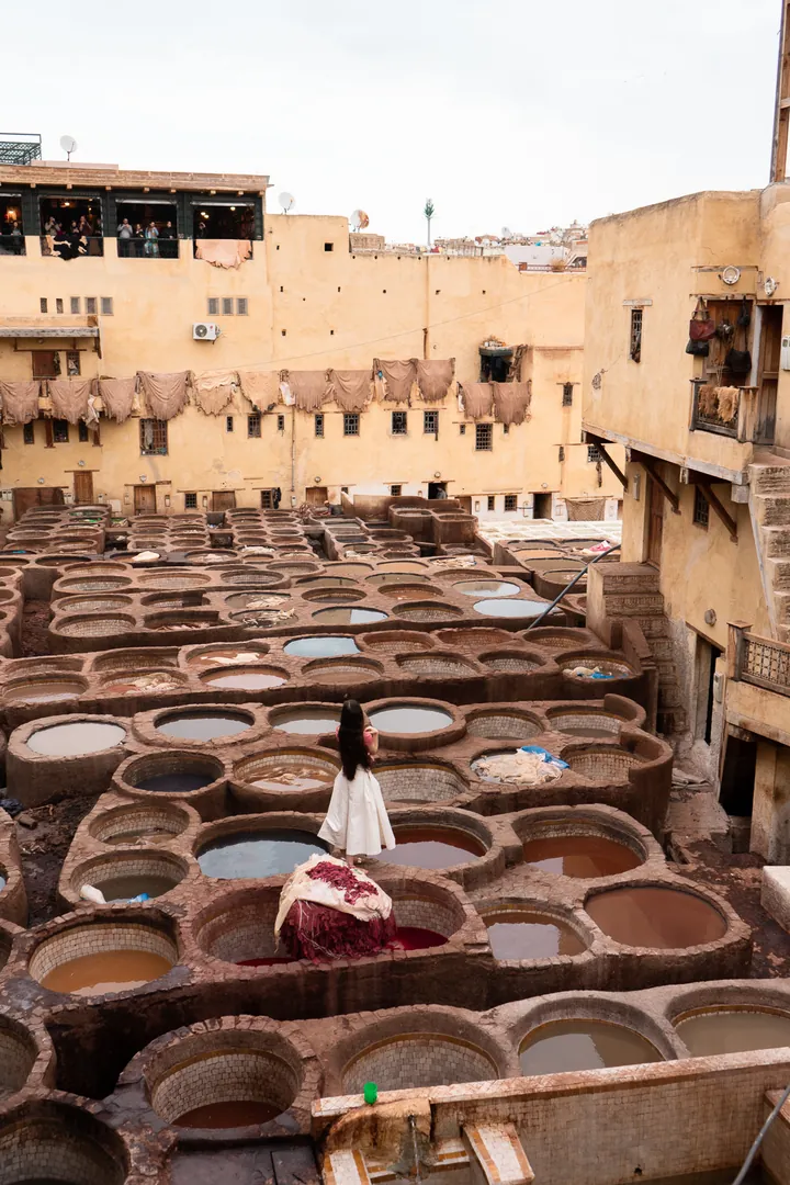 Chouara Tannery in Fes