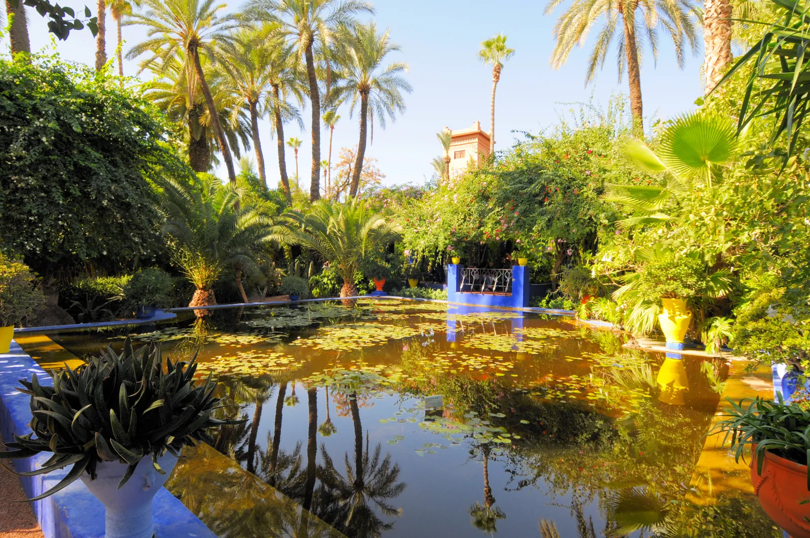 Majorelle & Secret Gardens in Marrakech
