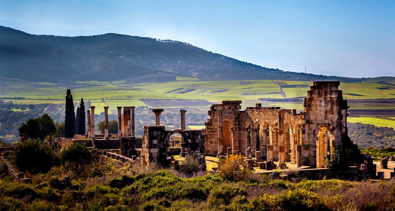 Volubilis (Oualili) in Meknès