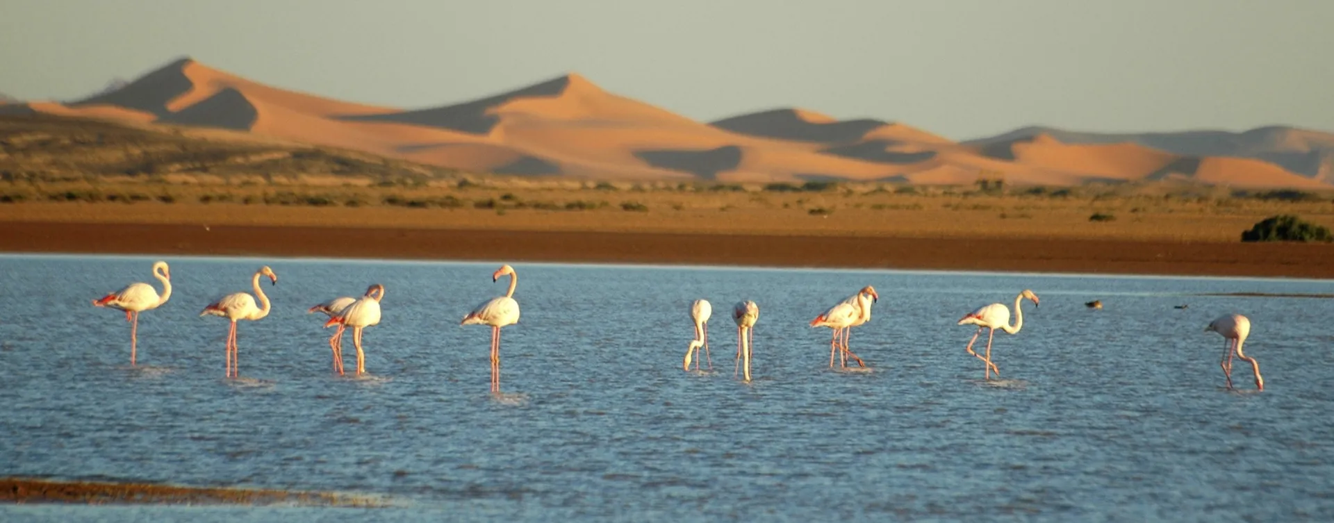 Dayet Srij in Merzouga